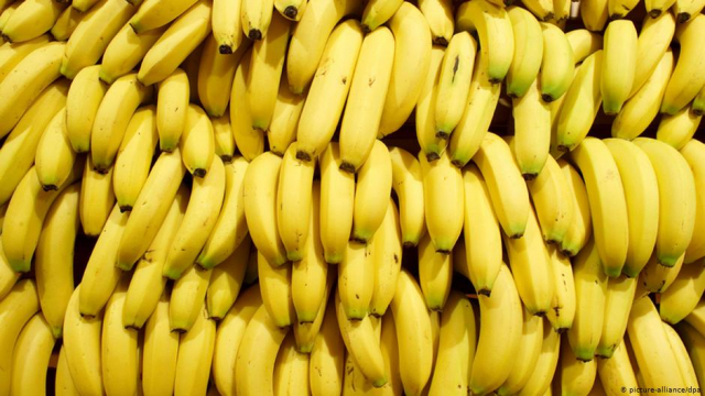 Beneficios de comer banano que debes conocer