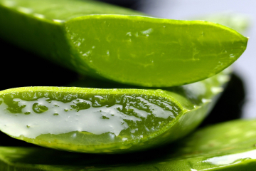 Los mejores usos de la sábila