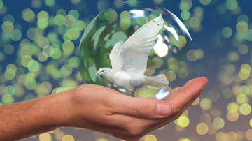 Día Internacional de la Paz: Origen y razones de esta celebración