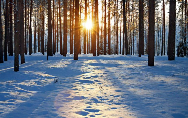 Cómo celebran en el mundo la llegada del solsticio de invierno
