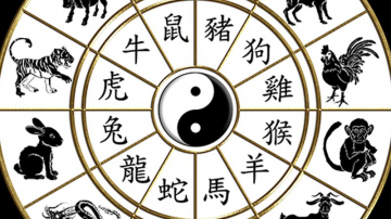 Qué animal eres según el horóscopo chino