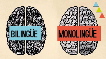 Ventajas de ser bilingüe: Motivos para aprender un nuevo idioma