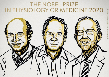 Premio Nobel de Fisiología o Medicina 2020: Quiénes son y por qué