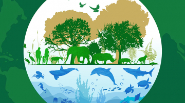 Origen y motivo de celebrar el Día Mundial de la Naturaleza el 3 de marzo