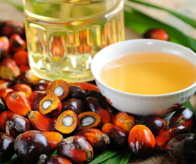 ¿Cuál es el impacto del aceite de palma?