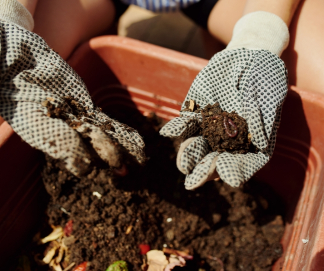 Comment faire du compost pour vos plantes à la maison