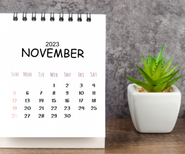 Calendario de Noviembre - 2023