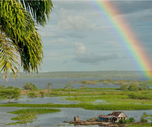 ¿Qué hacer en mi viaje por Iquitos, Perú?