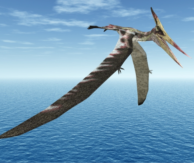 Pterosaurs: The Fascinating Flying Reptiles Of The Past 