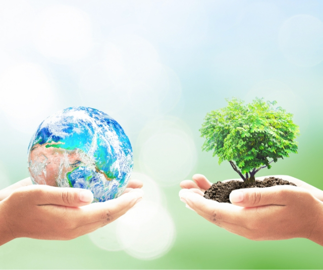 Día Mundial del Medio Ambiente: Celebrando la naturaleza y fomentando la acción ambiental