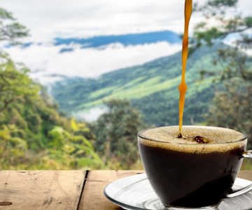 ¿Por qué se celebra el Día Nacional del café en Colombia?