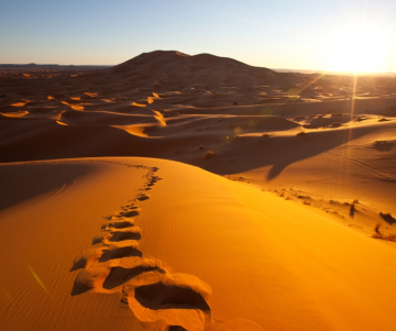 Quels sont les principaux déserts du monde ?