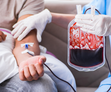 ¿Cuándo se celebra el Día Mundial del Donante de Sangre?