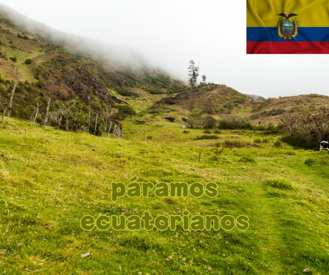 The types of paramos that exist in Ecuador 